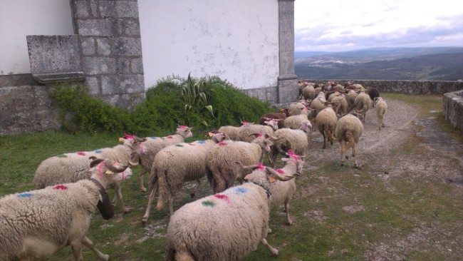I Feira de Março (2014)