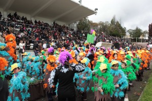 Carnaval das Escolas de SJM - foto de arquivo