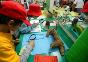 Feira da Ciência - peqenos cientistas sanjoanenses