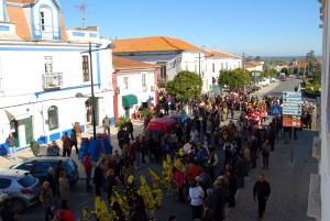 Desfile de carnaval (3)