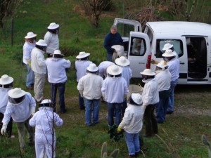 Curso de Apicultura