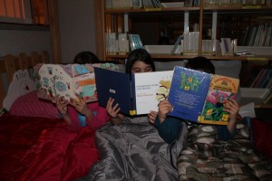 Dormir com livros 2013 (2)