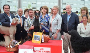 Exposicao_Canina_Vencedor2013LAMEGO