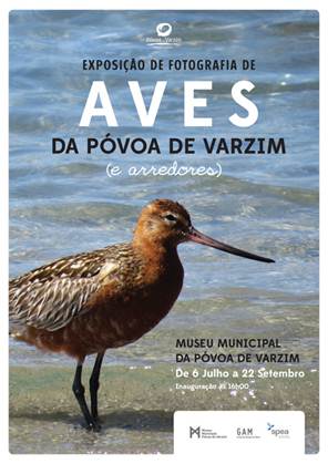 Exposição de Fotografia de Aves, no Museu Municipal