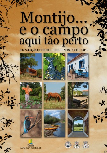 Exposição_Campo_web