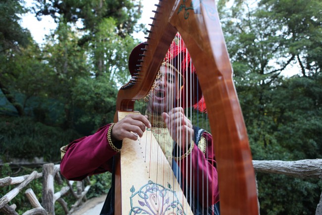 João Carlos_Harpa