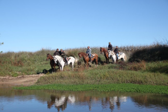 Pegoes a cavalo (3)