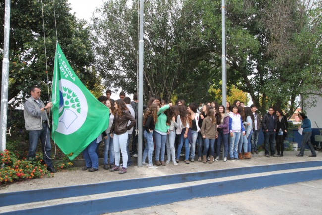 bandeira verde