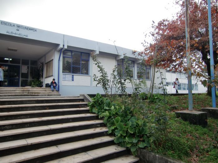 Câmara de Albergaria apoia integração profissional de duas jovens com deficiência e incapacidade