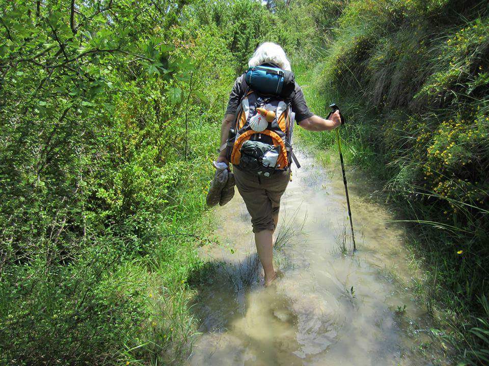 O Caminho de Santiago de Compostela – um Caminho para todos, no Castelo de Lanhoso