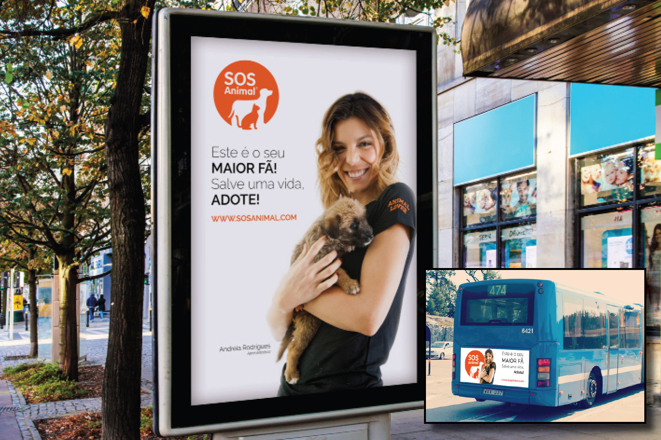 Campanha “O seu maior fã” para sensibilizar para a adoção de animais em Elvas