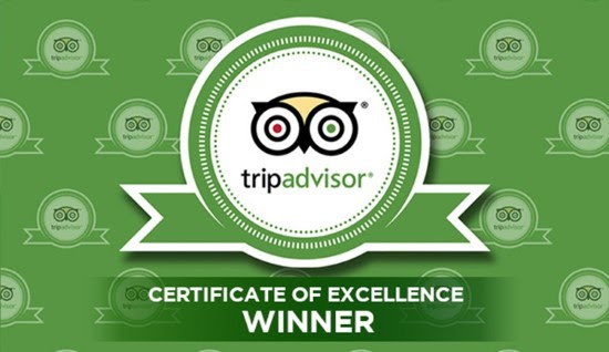 TripAdvisor.com