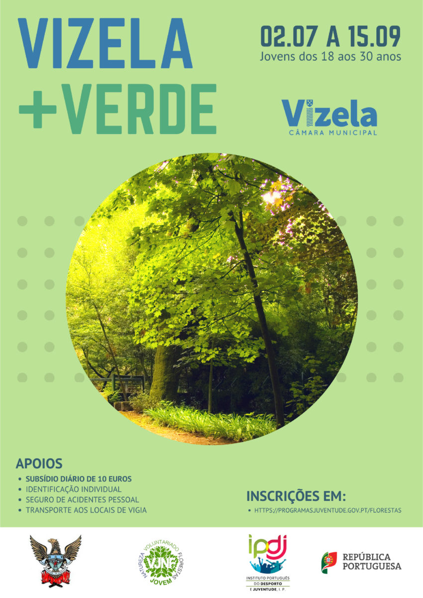 Voluntariado Jovem