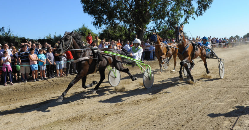 hipódromo Municipal