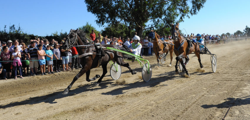 hipódromo Municipal