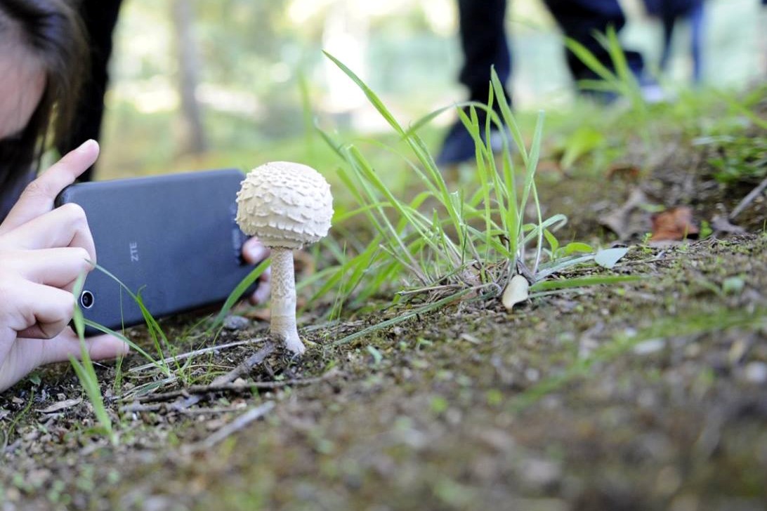 A criatividade à solta entre as micropaisagens do Parque do Rio Ul em S. João da Madeira