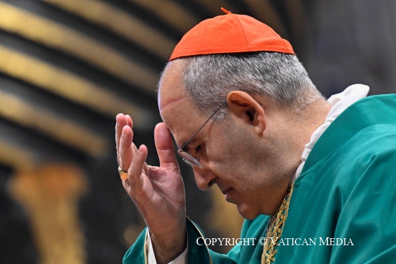 Cardeal Tolentino de Mendonça - foto Vaticano